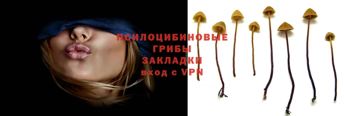 герыч Аркадак