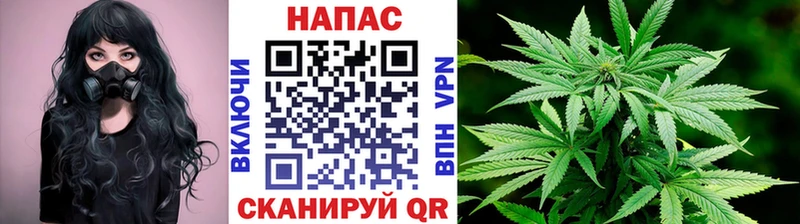 Каннабис AK-47 Шагонар